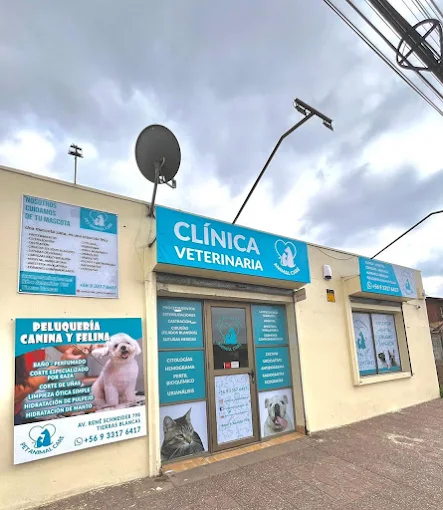 Veterinaria Animal Care