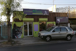 Veterinaria Animal Lovers