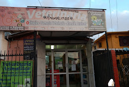 Veterinaria 