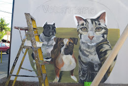 Veterinaria Animalmarket