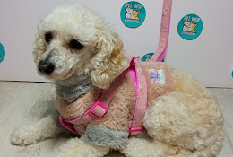 Veterinaria Baron, Valparaiso, Peluqueria Canina