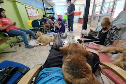 Veterinaria Beckenham S.a.