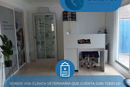 Veterinaria Bellsvet Salud Animal