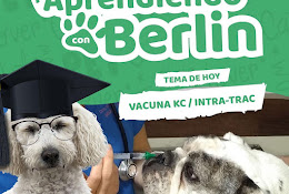 Veterinaria Berlín Happy Berlín