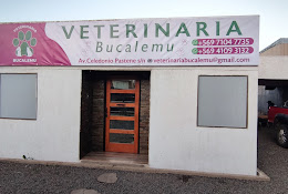 Veterinaria Bucalemu