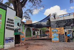 Veterinaria Capinvet Ltda
