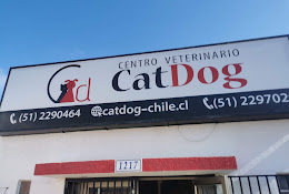 Veterinaria Catdog