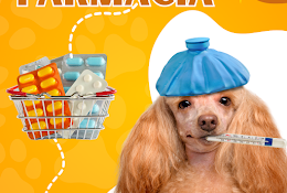 Veterinaria Catdelidog