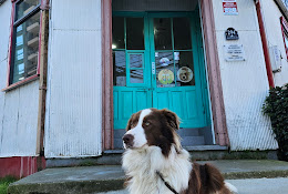Veterinaria Caupolican