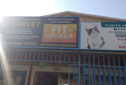 Veterinaria Cesar Vet