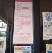 Veterinaria Chillán Vet