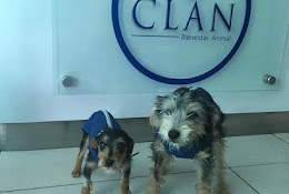 Veterinaria Clan