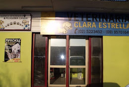 Veterinaria Clara Estrella, Vargasvet