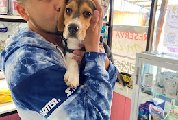Veterinaria Clinica Kennel