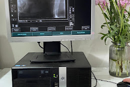 Veterinaria Clinicalvet Curacavi
