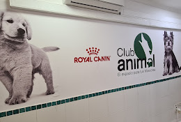 Veterinaria Club Animal