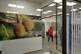 Veterinaria Copeval Curico