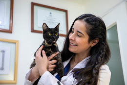 Veterinaria Cruz Azul