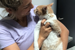 Veterinaria D Alma