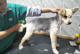 Veterinaria De Montaña