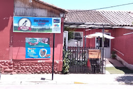Veterinaria De Pelos