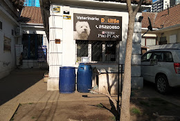Veterinaria Dolittle