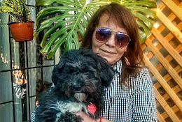 Veterinaria Dr. Yury