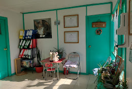 Veterinaria El Coiron