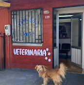Veterinaria Famulus Vet