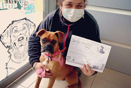 Veterinaria Fauna Puerto