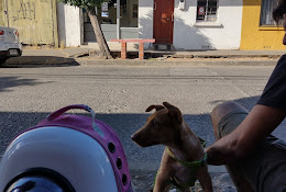 Veterinaria Francisco Loyola
