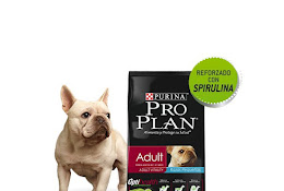 Veterinaria Garritas Y Patitas