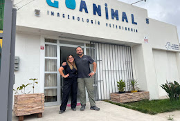 Veterinaria Go Animal
