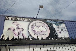 Veterinaria Goldenvet