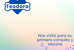 Veterinaria Honuvet Freire