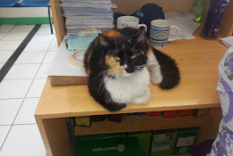 Veterinaria Hospital Zoomundo