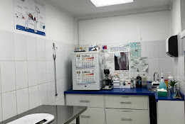 Veterinaria Integravet Carahue
