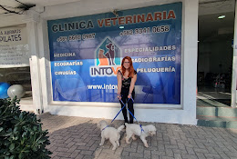 Veterinaria Intovet