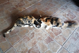 Veterinaria La Concepción
