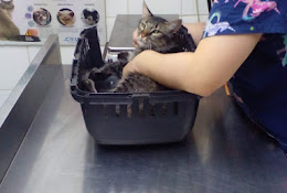 Veterinaria La Doc