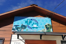 Veterinaria Lacustre Villarrica
