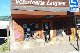 Veterinaria Lafquen