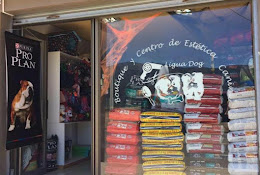 Veterinaria Ligua Dog