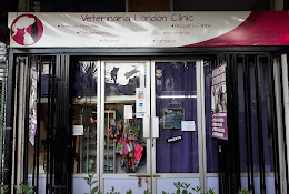 Veterinaria London Clinic