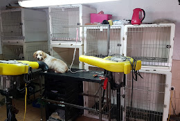 Veterinaria Los Andes Eric Savard