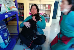 Veterinaria Magallanes