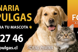 Veterinaria Malas Pulgas