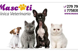 Veterinaria Mascoti E.i.r.l.