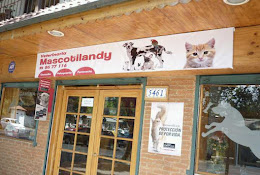 Veterinaria Mascotilandy