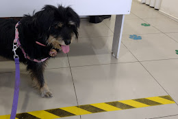 Veterinaria Mi Mundo Vet